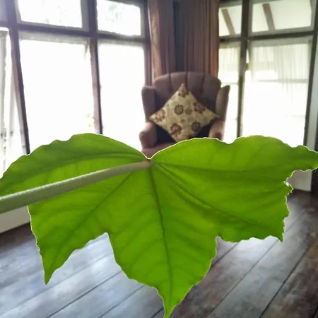 Rumah Pakankamih-3